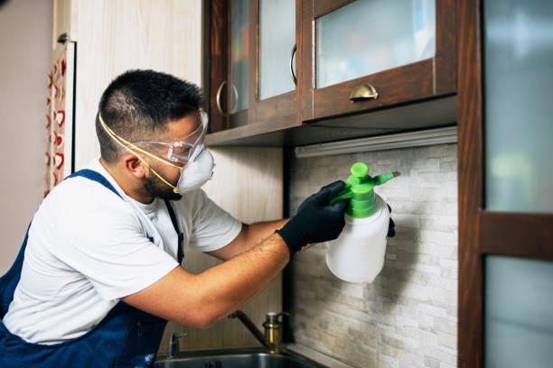 Best Cockroach Control Services  in Second Mesa, AZ
