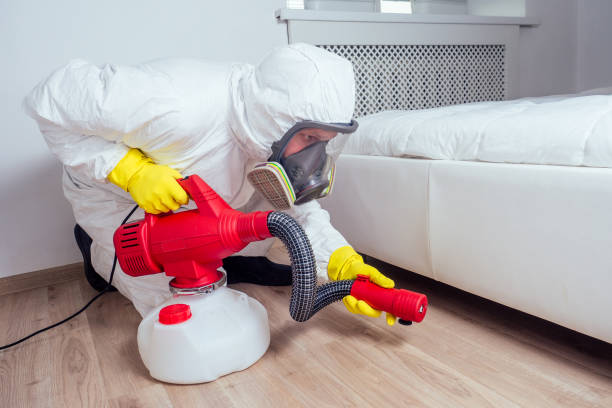 Best Pest Control for Businesses  in Second Mesa, AZ
