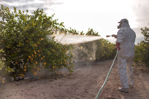 Best Residential Pest Control  in Second Mesa, AZ